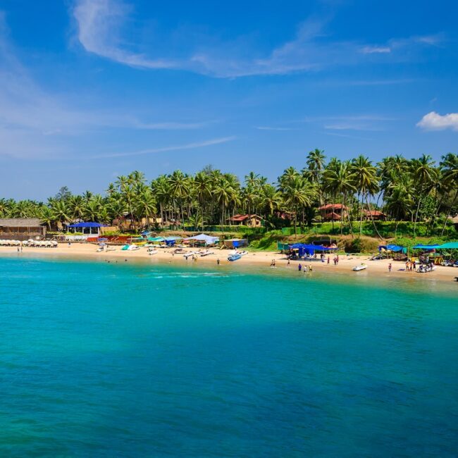 Goa beach tropical paradise