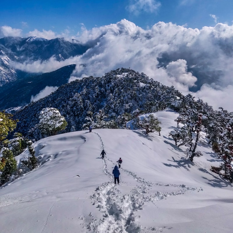 Ladakh mountain road trip adventure